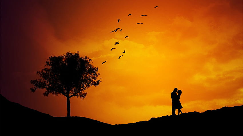 Couple, Love Silhouette HD wallpaper