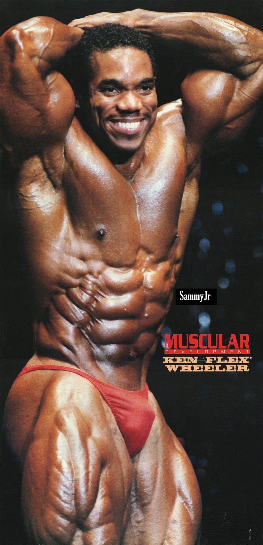 Flex Wheeler super pic, 1993 Arnold Classic Forums HD phone wallpaper