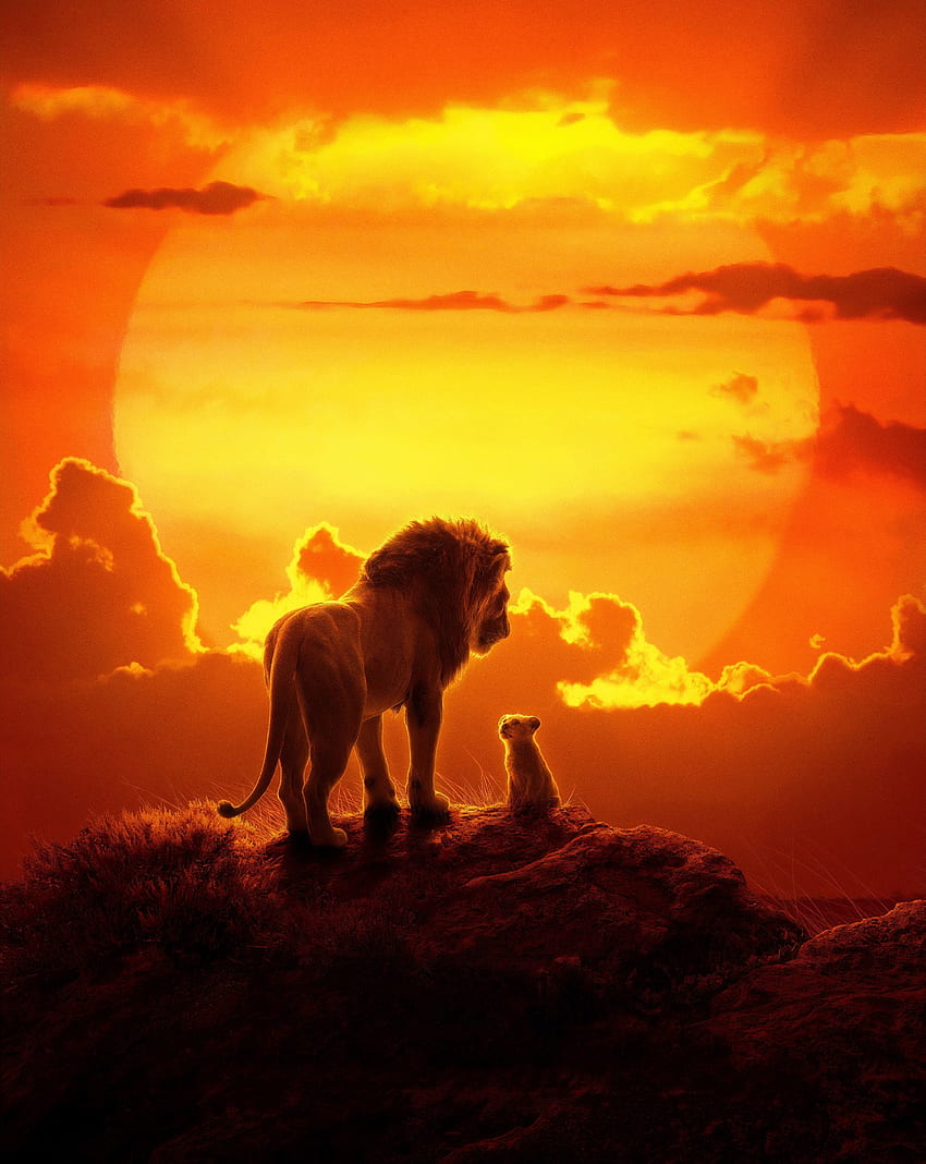O rei leão, leão e filhote, filme de 2019 Papel de parede de celular HD