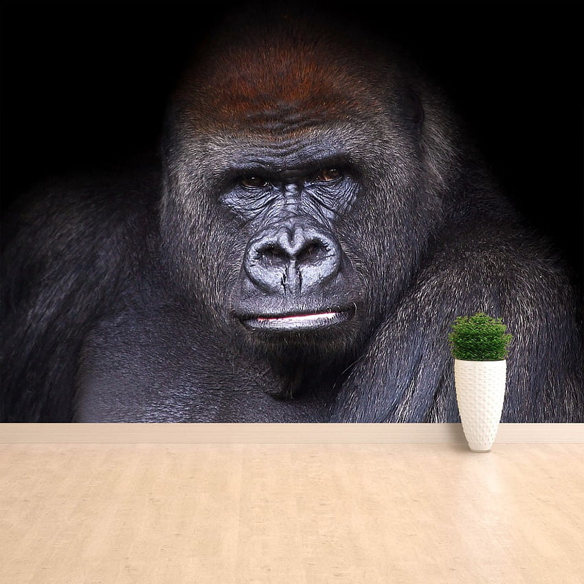 Gorilla Ape กาวหรือดั้งเดิม , Gorilla Art วอลล์เปเปอร์โทรศัพท์ HD
