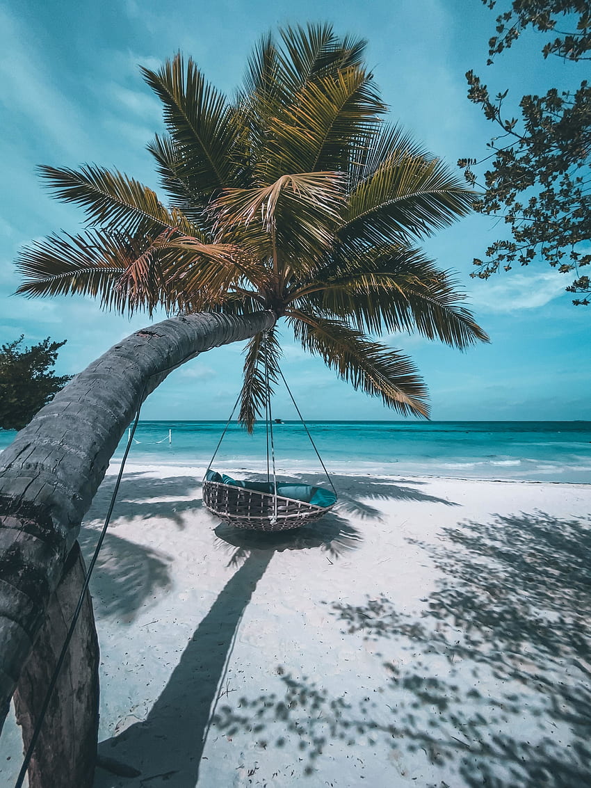 Praia, palmeiras, férias, lindo mar Papel de parede de celular HD