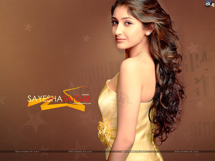 Hot Bollywood Heroines & Actresses I Indian Models, Sayesha HD wallpaper