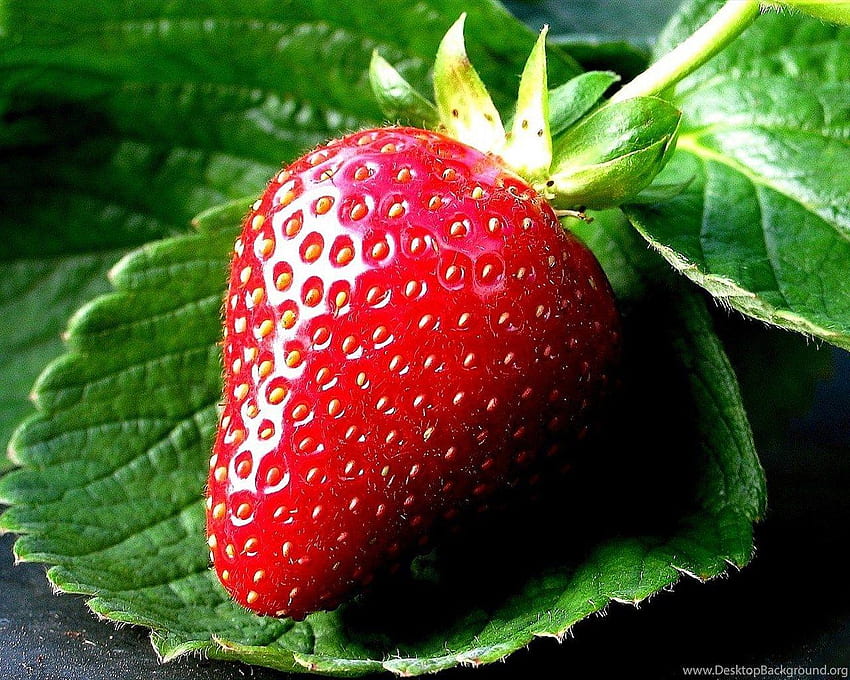 1137 strawberry hd - Rare Gallery HD Wallpapers