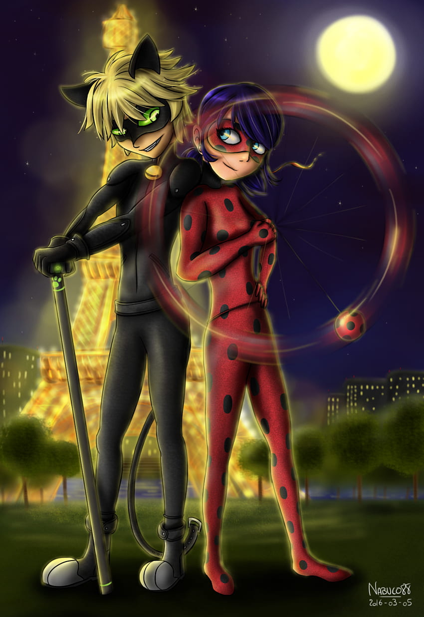 Anime Ladybug And Cat Noir, Miraculous Tales of Ladybug and Cat Noir HD phone wallpaper