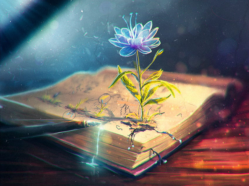 Abstract, Feather, Flower, Book, Pen HD wallpaper