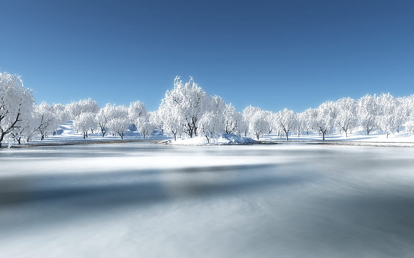 冬、青、白、雪、涼しい、空、自然、木 高画質の壁紙