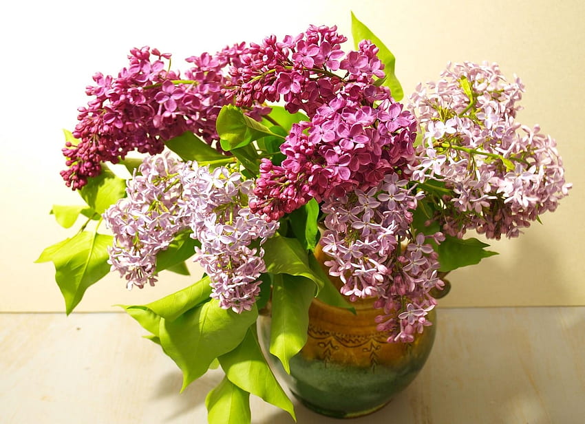 Flowers, Lilac, Bloom, Flowering, Bouquet, Vase, Spring HD wallpaper