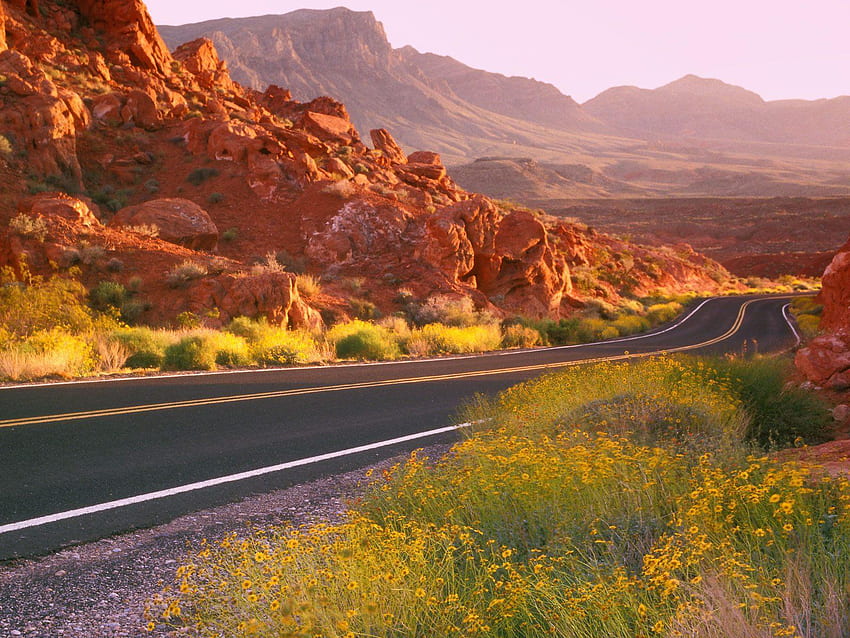 Canyon Roads, weeds, road, winding, canyon HD wallpaper