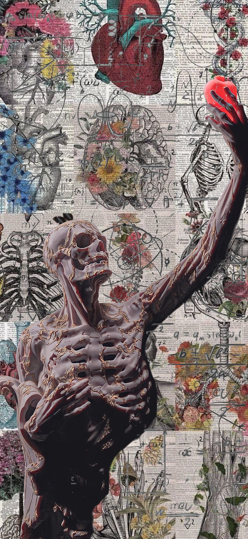 Art, Anatomia, Matematicas, human_body, Fisica, Filosofia, Medicina HD phone wallpaper