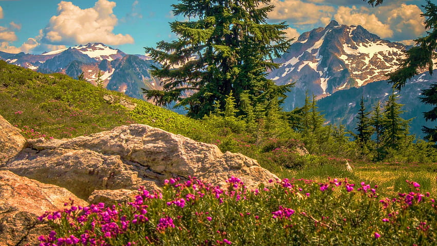 As montanhas cascata, Estado de Washington, Cascade Range, rochas, EUA, paisagem, nuvens, árvores, flores, céu papel de parede HD