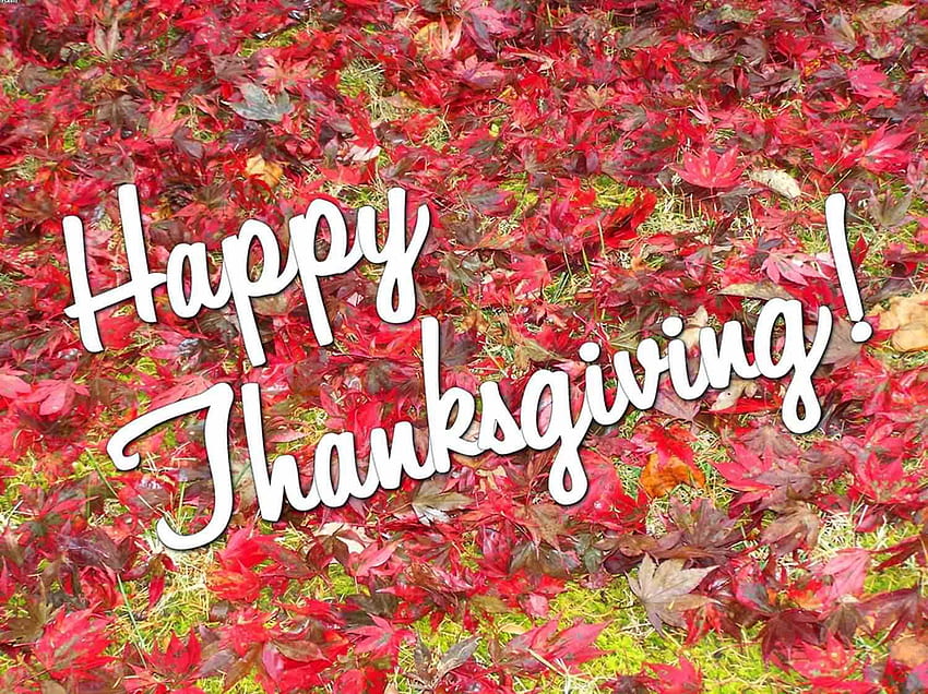 Happy Thanksgiving 2017 Gruß und das schönste Thanksgiving HD-Hintergrundbild
