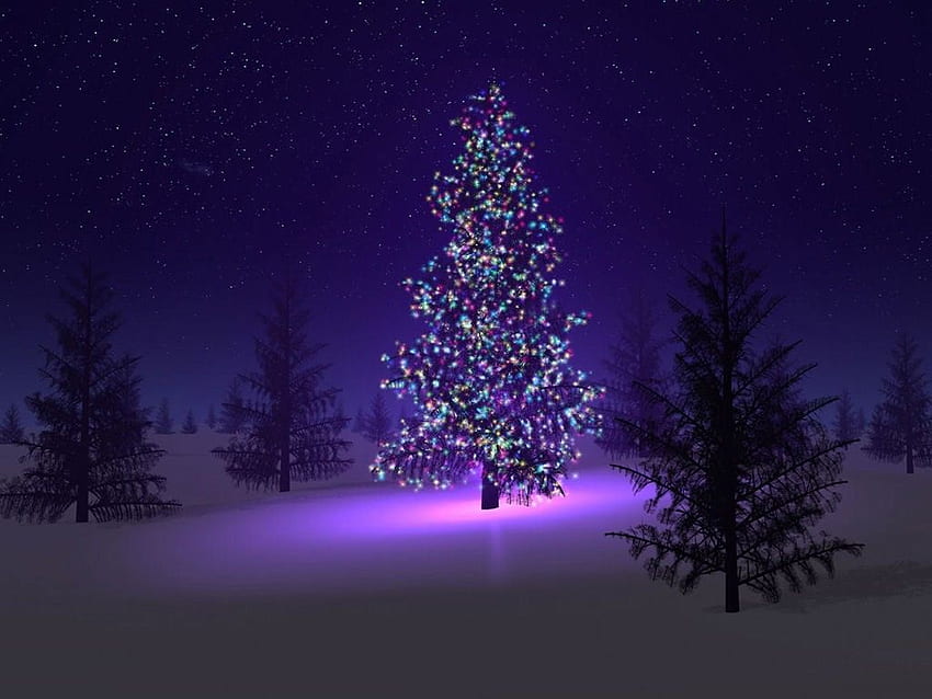 CHRISTMAS - collection of 0 Xmas themed, Christmas Tree HD wallpaper