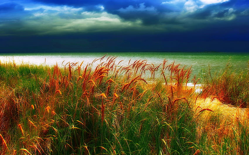 Der Sturm kommt, Insel Amrum, blau, Meer, Regen, schön, Gras, gelborange, grün, Wolken, Himmel, Deutschland, Stacheln HD-Hintergrundbild