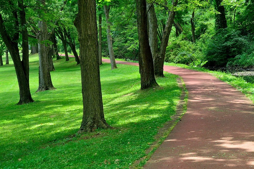 Spaziergang durch den Park Eines Tages, entspannend, spazieren, friedlich, gelassen, malerischer Park, Park, ruhig HD-Hintergrundbild
