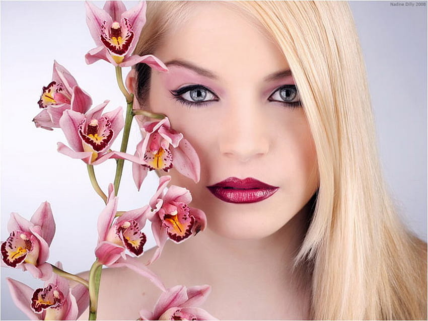 belleza de la orquídea, orquídea, rosado, rubio, belleza fondo de pantalla