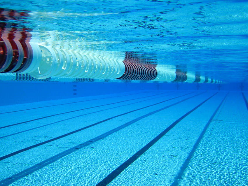 Swimming HD wallpaper