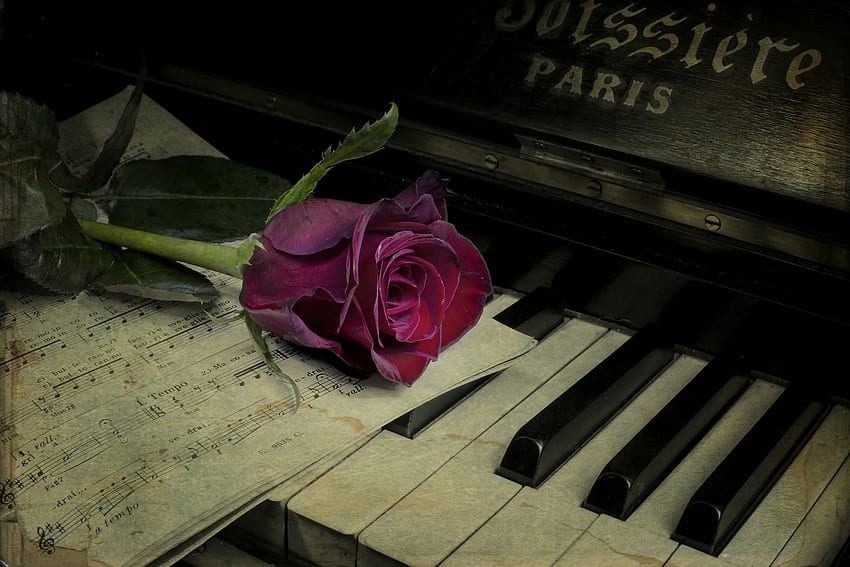 Takie piękne i na telefon tło Dla miłośników pianina Tapeta HD