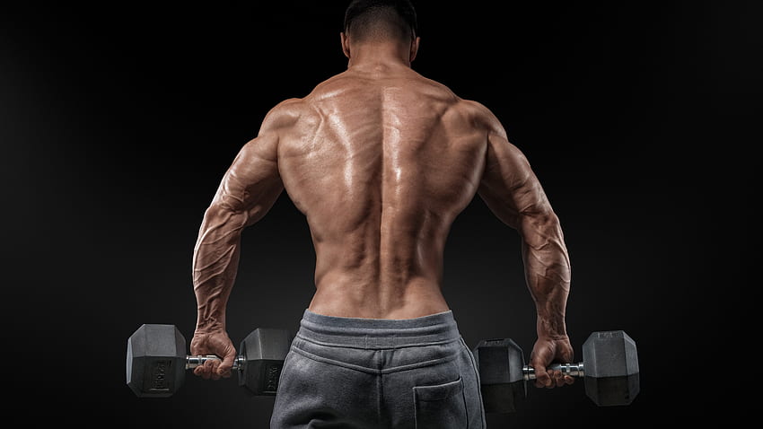 Bodybuilding Training U - Gym Body Back Side - HD wallpaper