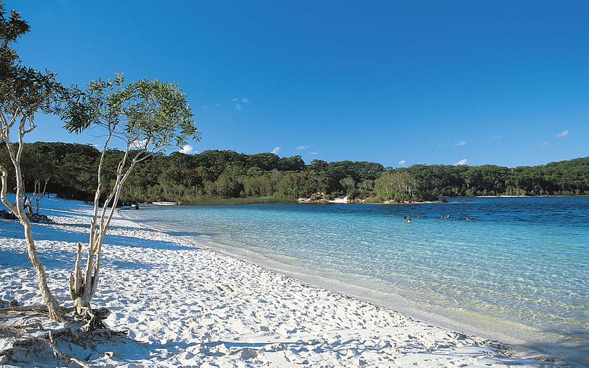 Fraser Island's Lake McKenzie Is Nature's Own Day Spa HD wallpaper