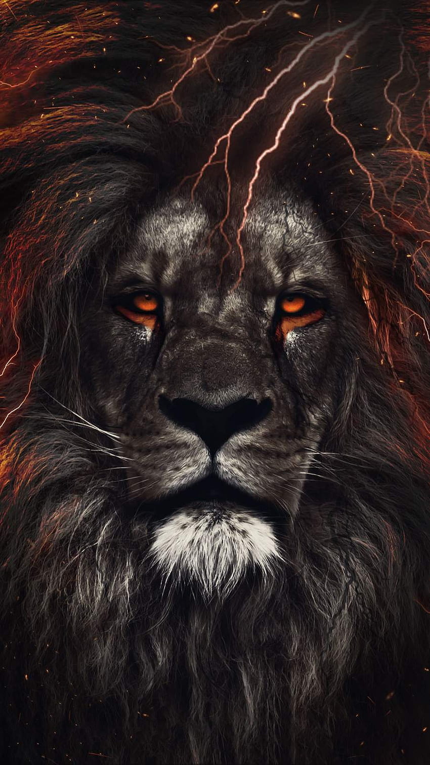 Angry lion 1080P, 2K, 4K, 5K HD wallpapers free download | Wallpaper Flare
