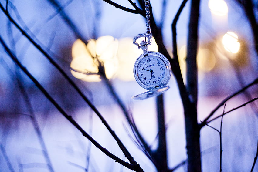 Winter, Clock, , , Branches, Pocket Watch HD wallpaper