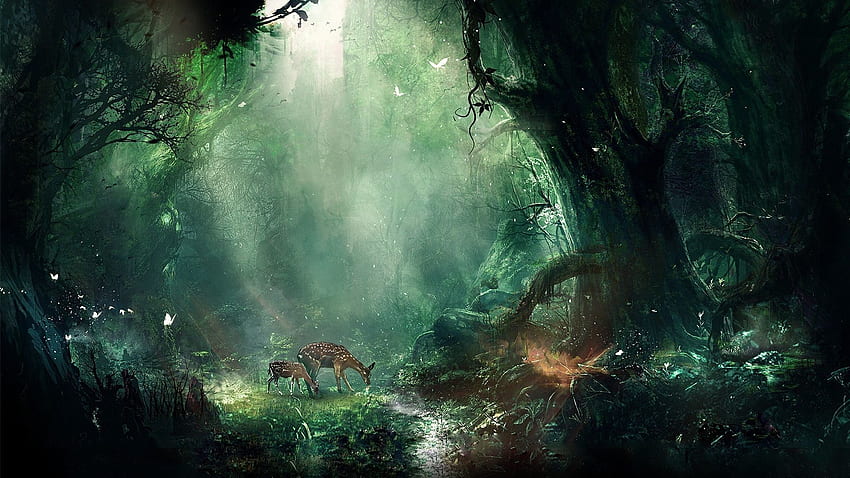 魅惑の森、夜の妖精の森 高画質の壁紙
