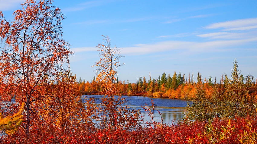 Lacs: Automne Nature Russie Paysage Fond 3D pour, Paysage d'automne Fond d'écran HD