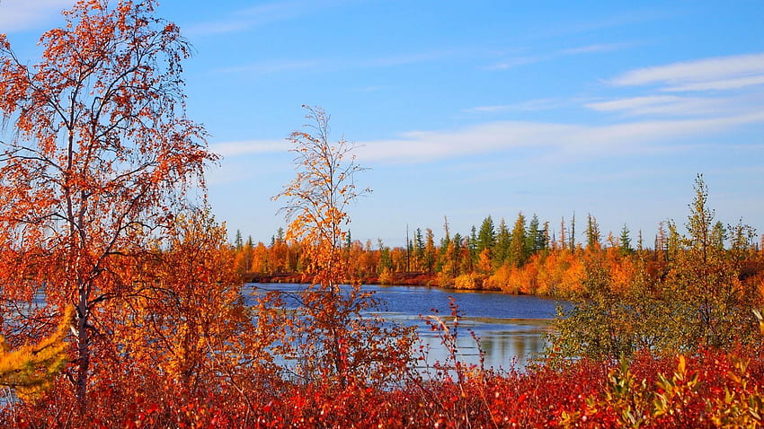 Lakes: Autumn Nature Russia Scenery Background 3D for, Fall Scenery HD wallpaper