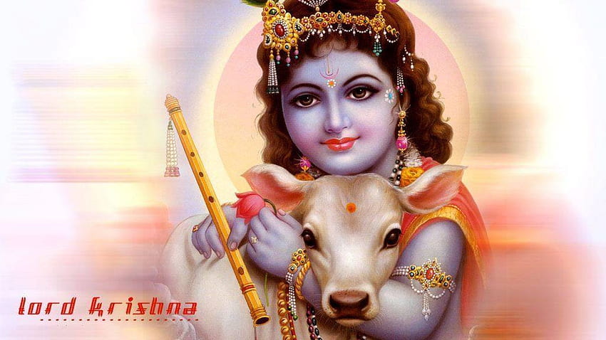 : Penuh Krishna, Krishna dan Sapi Wallpaper HD