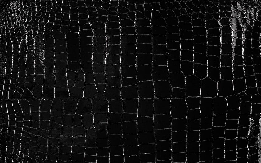エルメス スムース ブラック クロコダイル ポロサス。 美しい革、クロコダイル、革の質感、クロコダイルの皮 高画質の壁紙