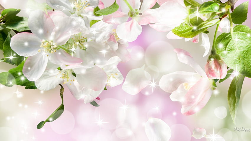 Sunshine Brings Spring Beauty, звезди, искри, пролет, розово, листа, цветове, блясък, сакура, цветя, аромат HD тапет