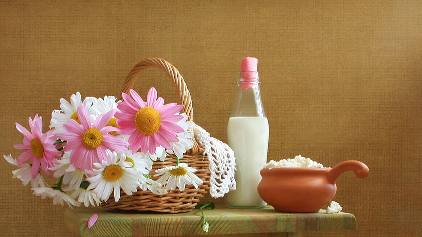 Still Life, colorful, graphy, colors, spring, daisies, beauty, basket, milk, white, romance, beautiful, bottle, pink, pretty, daisy, nature, romantic, flowers, lovely HD wallpaper