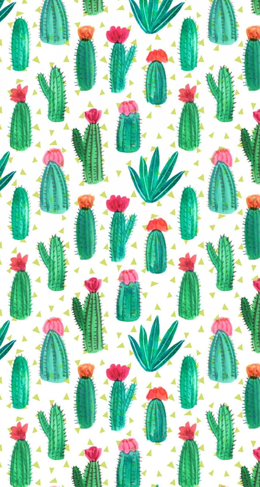 Ivette Marshall on . Pattern , Cactus, Prints HD phone wallpaper