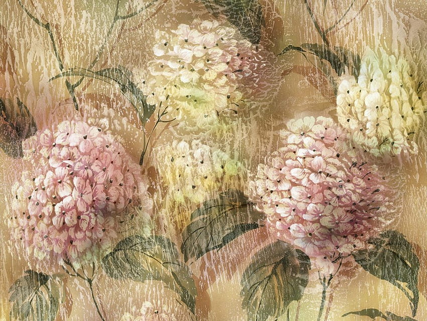 ไฮเดรนเยีย สีชมพู ศิลปะ วาด ดอกไม้ วอลล์เปเปอร์ HD