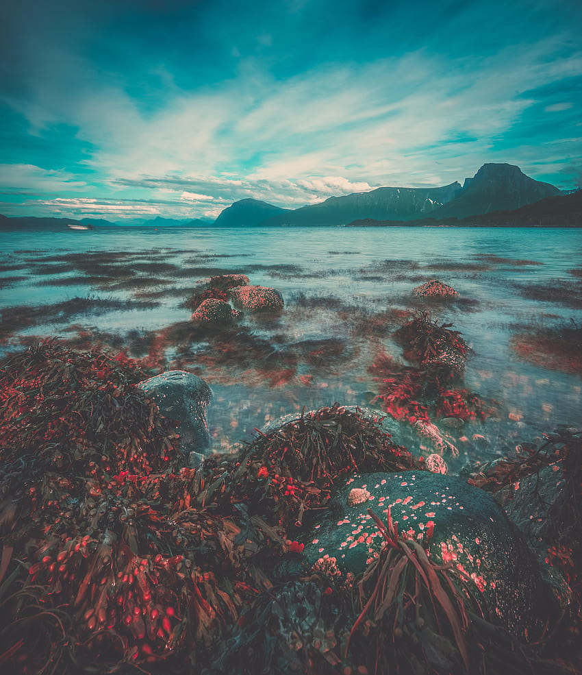 Naturaleza, Cielo, Piedra, Costa, Noruega fondo de pantalla del teléfono