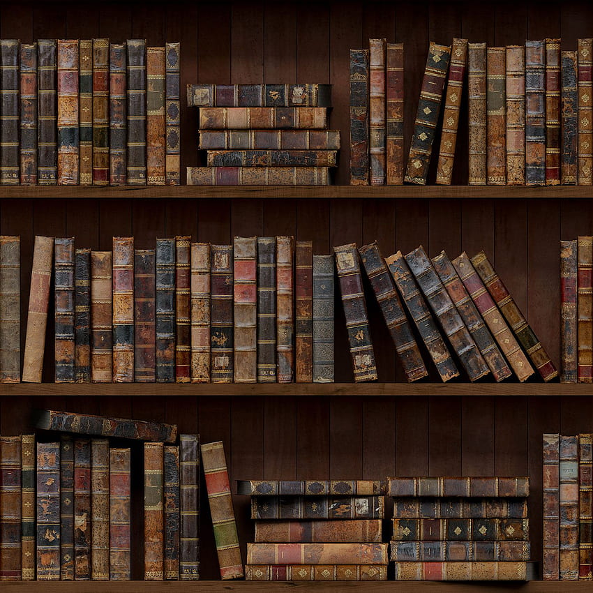 Legal Books - Studio Library Background - -, Law Books HD phone ...