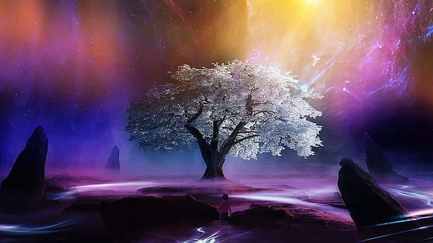 Drzewo życia, drzewo, fioletowy, cyfrowy, chłopiec, musujące, kolory, promienie słoneczne Tapeta HD