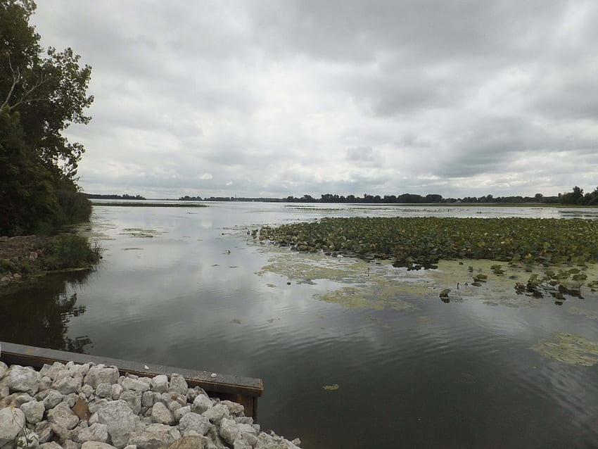 Restoring Lake Erie's largest wetland. Great Lakes Echo HD wallpaper