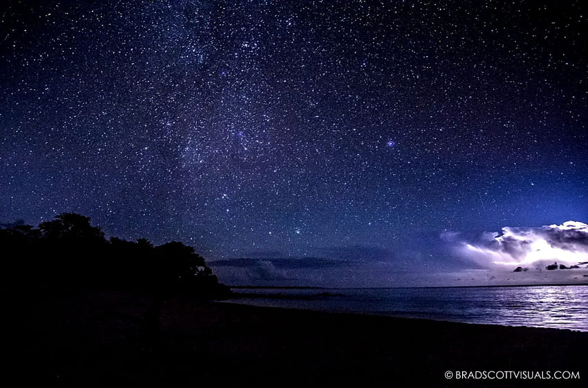 바이오니아: 밤의 해변 HD 월페이퍼