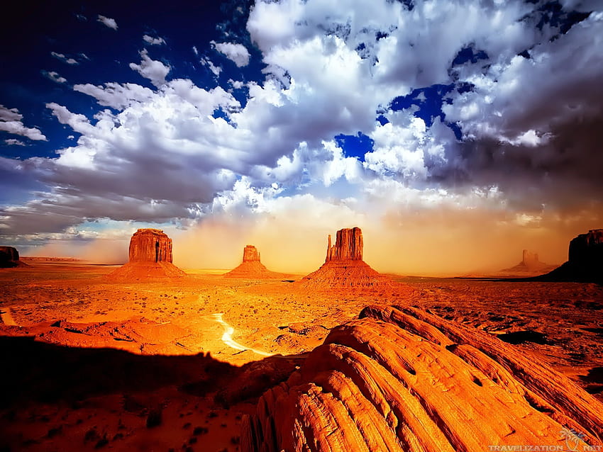 Desert Scenes , Desert Forest HD wallpaper