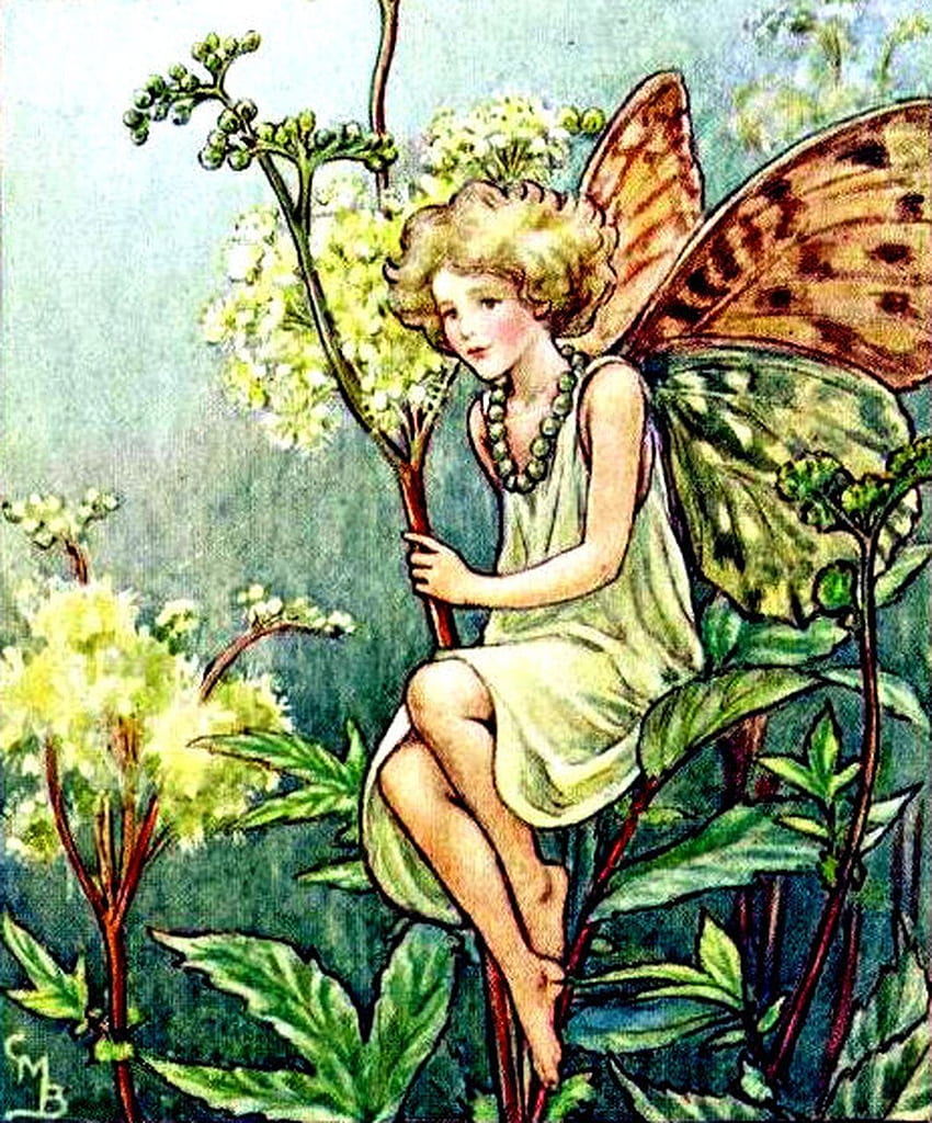 Queen of The Meadow Flower Fairy Canvas, Flower Fairies HD phone wallpaper