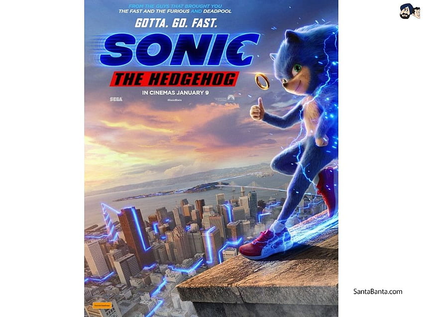 Sonic The Hedgehog - Sonic Movie Puma Shoes - HD wallpaper
