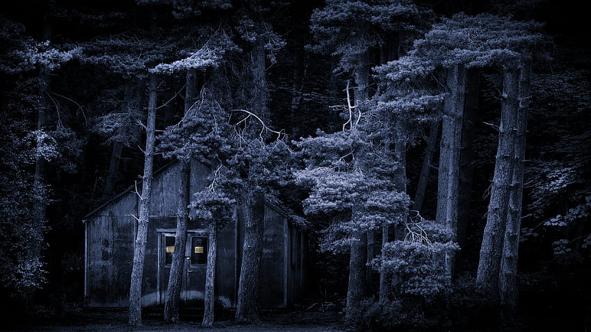 Cabin-in-the-woods, the, in, woods, Cabin, horror HD wallpaper