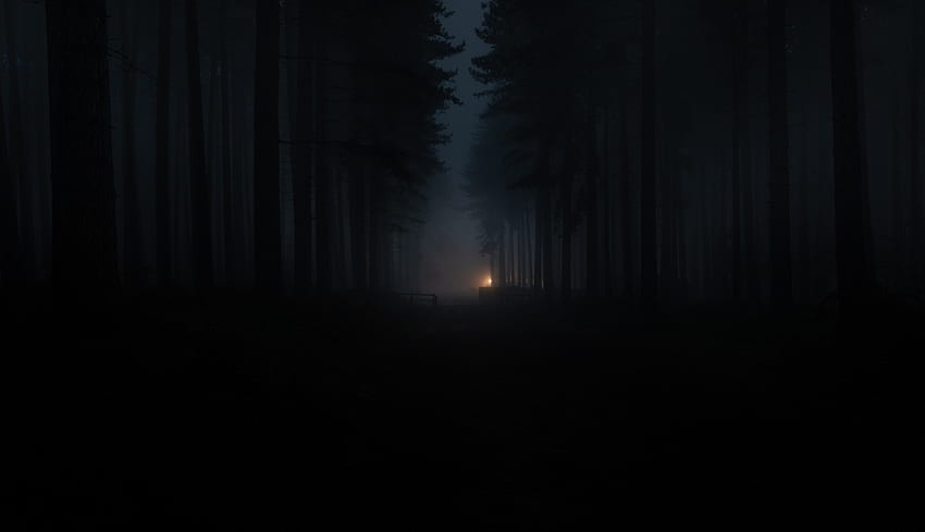 Dunkler Wald, Nebel, Bäume, Zaun - Auflösung:, Dunkler Wald-Laptop HD-Hintergrundbild