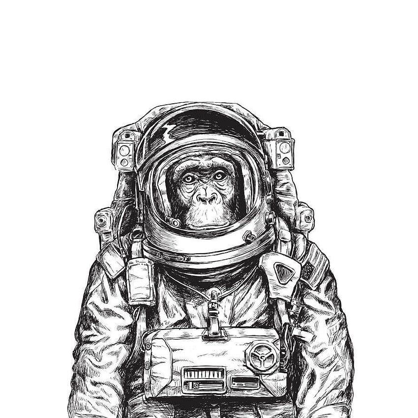 Details about Monkey Astronaut Illustration Art Print Canvas HD phone wallpaper