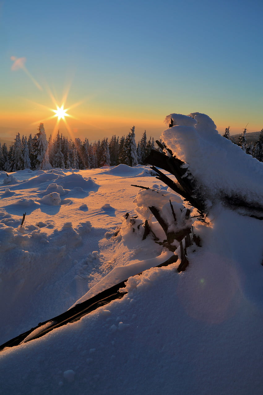 Drifts, Winter, Natur, Bäume, Sonnenuntergang, Schnee HD-Handy-Hintergrundbild