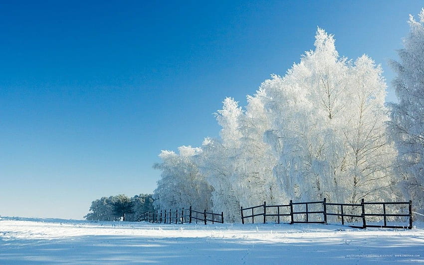 Winter beautiful scenery, Rustic Winter HD wallpaper