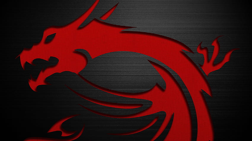 dragon HD wallpaper