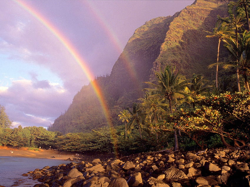 Arc en ciel, Nature, Pierres, Ciel, Nuages, Palmiers, Rive, Banque, Hawaii Fond d'écran HD