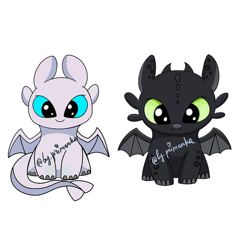 PNG Toothless & Light fury How to train your dragon. Etsy. How train ...